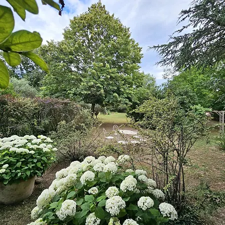 Superbe Mas Provencal Avec Piscine Au Pied De